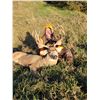 Image 4 : NEBRASKA 5-DAY MULE DEER OR WHITETAIL HUNT FOR 1 HUNTER - $4,795 / EXHIBITOR IN-HOUSE SALE ONLY