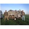 Image 2 : TEXAS SANDHILL CRANE HUNT FOR 1 HUNTER - $2,295 / EXHIBITOR