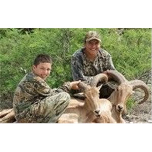 2-DAY TEXAS AOUDAD AND HOG FOR 1 HUNTER - $4,600