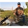 Image 2 : 2-DAY TEXAS AOUDAD AND HOG FOR 1 HUNTER - $4,600