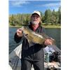 Image 1 : 5-DAY/6- NIGHT ONTARIO FISHING TRIP FOR 2 - $3,900 / EXHIBITOR