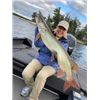Image 2 : 5-DAY/6- NIGHT ONTARIO FISHING TRIP FOR 2 - $3,900 / EXHIBITOR