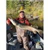 Image 3 : 5-DAY/6- NIGHT ONTARIO FISHING TRIP FOR 2 - $3,900 / EXHIBITOR