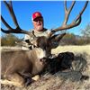 Image 1 : SONORA MULE DEER HUNT FOR 2 - $35,000