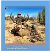Image 2 : SONORA MULE DEER HUNT FOR 2 - $35,000