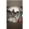 Image 5 : SONORA MULE DEER HUNT FOR 2 - $35,000