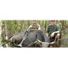 Image 2 : 5-DAY BUFFALO HUNT FOR 1 HUNTER IN AUSTRALIA - $18,500