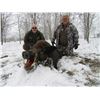 Image 4 : WILD BOAR IN SERBIA FOR 2 - $6,600 / EXHIBITOR