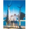Image 1 : ZIHUATANEJO, MEXICO FISH SLAMMING SAFARI FOR 1 - $5,350