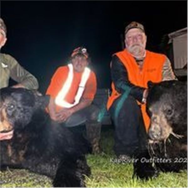 ONTARIO BLACK BEAR FOR 1 HUNTER - $2,500