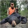 Image 3 : ONTARIO BLACK BEAR FOR 1 HUNTER - $2,500
