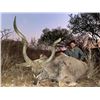 Image 2 : SOUTH AFRICA SPIRAL SLAM FOR 2 HUNTERS & 2 OBSERVERS - $20,730