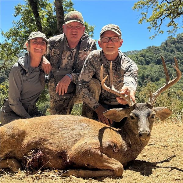 5-DAY BLACKTAIL DEER, BLACK BEAR, AND WILD PIG HUNT FOR 1 HUNTER - $11,500