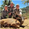 Image 1 : 5-DAY BLACKTAIL DEER, BLACK BEAR, AND WILD PIG HUNT FOR 1 HUNTER - $11,500