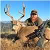 Image 2 : 5-DAY BLACKTAIL DEER, BLACK BEAR, AND WILD PIG HUNT FOR 1 HUNTER - $11,500