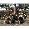 Image 3 : MEXICO GOULDS TURKEY HUNT FOR 1 HUNTERS- $3,200 / EXHIBITOR