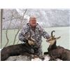 Image 4 : ROE DEER IN SERBIA FOR 2 - $6,600 / EXHIBITOR