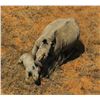 Image 4 : RHINO VITA DART HUNT FOR 1 HUNTERS - $13,100 / EXHIBITOR