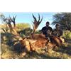 Image 5 : FREE RANGE WILD BOAR AND FISHING IN ARGENTINA FOR 2 HUNTERS - $10,900