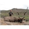 Image 2 : 7-DAY BIG GAME SAFARI FOR 1 HUNTER AND 1 OBSERVER - $8,000