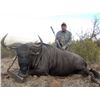 Image 4 : 7-DAY BIG GAME SAFARI FOR 1 HUNTER AND 1 OBSERVER - $8,000