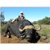Image 5 : 7-DAY BIG GAME SAFARI FOR 1 HUNTER AND 1 OBSERVER - $8,000