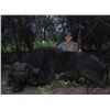 Image 6 : 7-DAY BIG GAME SAFARI FOR 1 HUNTER AND 1 OBSERVER - $8,000