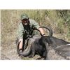 Image 7 : 7-DAY BIG GAME SAFARI FOR 1 HUNTER AND 1 OBSERVER - $8,000