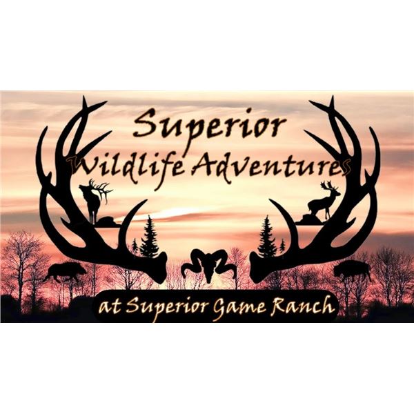 UPPER MICHIGAN HOG HUNT FOR 1 HUNTER - $1,200/ EXHIBITOR