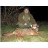 Image 3 : MACEDONIA WOLF HUNT FOR 2 - $6,600 / EXHIBITOR