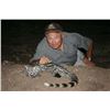Image 2 : 9 DAY SOUTH AFRICAN HUNT FOR 1 HUNTER AND 1 OBSERVER - $9,500/EXHIBITOR