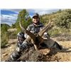 Image 2 : 2 SOUTHEASTERN IBEX FOR 2 HUNTERS - $15,000