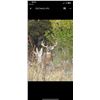 Image 2 : 3-DAY WISCONSIN WHITETAIL HUNT FOR 1 HUNTER AND 1 OBSERVER - $7,500  / EXHIBITOR