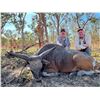 Image 2 : ARNHEM LAND AUSTRALIA BANTENG BULL HUNT FOR ONE HUNTER $15,900/EXHIBITOR