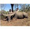 Image 4 : ARNHEM LAND AUSTRALIA BANTENG BULL HUNT FOR ONE HUNTER $15,900/EXHIBITOR