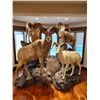 Image 4 : TAXIDERMY CREDIT - $2,500 / EXHIBITOR