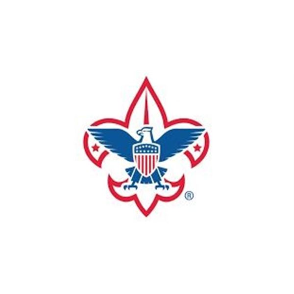 BOY SCOUT YARD CLEANUP - $PRICELESS$