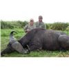 Image 2 : 10-DAY GUIDED BUFFALO HUNT IN THE ZAMBEZI DELTA, MOZAMBIQUE FOR ONE HUNTER AND ONE OBSERVER - $19,00