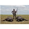 Image 4 : 10-DAY GUIDED BUFFALO HUNT IN THE ZAMBEZI DELTA, MOZAMBIQUE FOR ONE HUNTER AND ONE OBSERVER - $19,00