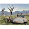 Image 3 : NEW ZEALAND MONSTER 500" RED STAG FOR 1 HUNTER - $32,500 / EXHIBITOR