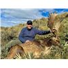 Image 7 : NEW ZEALAND MONSTER 500" RED STAG FOR 1 HUNTER - $32,500 / EXHIBITOR
