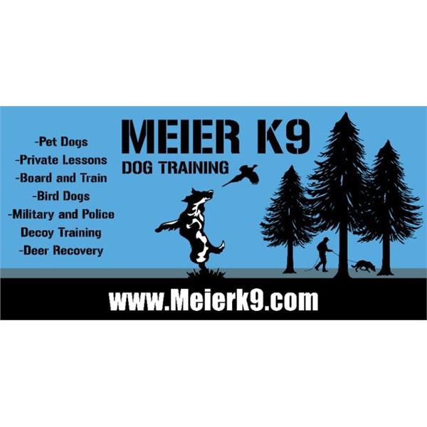 MEIER K9 ENGLISH SPRINGER SPANIEL "FINN" $8,500 / EXHIBITOR