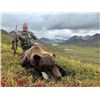 Image 2 : 10-DAY ALASKAN SPRING GRIZZLY BEAR FOR 1 HUNTER - $18,000 / EXHIBITOR