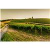 Image 5 : TUSCANY TRIP FOR 2 - $8,900