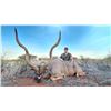 Image 3 : 6 - DAY KUDU FOR 2 HUNTERS - $13,100 / EXHIBITOR