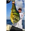 Image 5 : 7-DAY/7-NIGHT ALL-INCLUSIVE BELIZE ISLAND FISHING & DIVING TRIP FOR 2 - $10,955