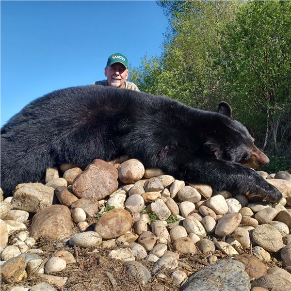6-DAY ALBERTA SPRING BLACK BEAR HUNT FOR 1 HUNTER - $5,000
