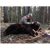 Image 2 : 6-DAY ALBERTA SPRING BLACK BEAR HUNT FOR 1 HUNTER - $5,000