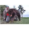 Image 3 : 6-DAY ALBERTA SPRING BLACK BEAR HUNT FOR 1 HUNTER - $5,000