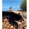 Image 4 : 6-DAY ALBERTA SPRING BLACK BEAR HUNT FOR 1 HUNTER - $5,000